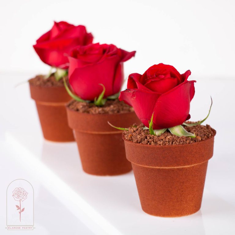 photo_2024-06-25_19-15-44